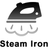 steam iron